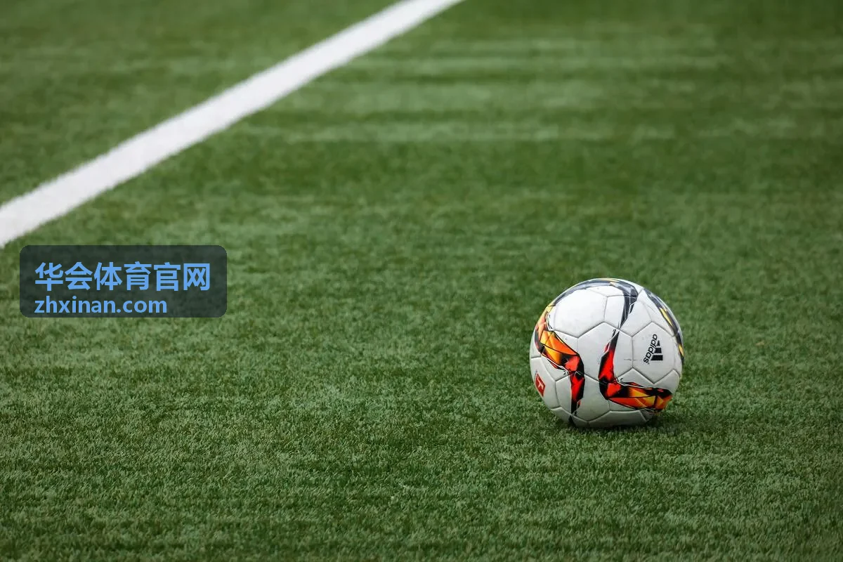 华会体育官网乒乓球巡回赛排名封面